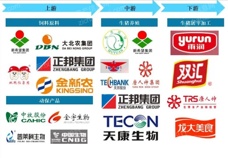 pg电子游戏试玩(中国)官方网站