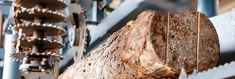 pg电子游戏试玩(中国)官方网站