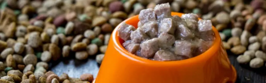 pg电子游戏试玩(中国)官方网站