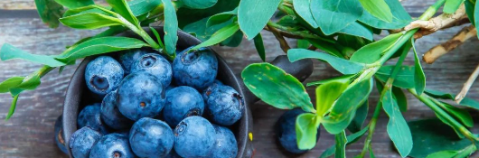 pg电子游戏试玩(中国)官方网站