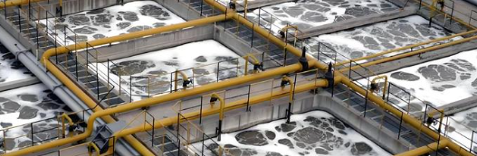 pg电子游戏试玩(中国)官方网站