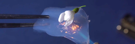 pg电子游戏试玩(中国)官方网站