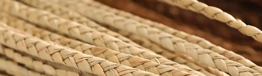 pg电子游戏试玩(中国)官方网站