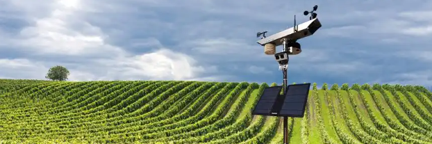 pg电子游戏试玩(中国)官方网站