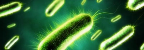 pg电子游戏试玩(中国)官方网站