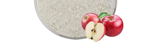 pg电子游戏试玩(中国)官方网站