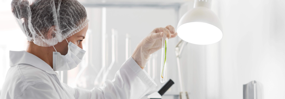 pg电子游戏试玩(中国)官方网站