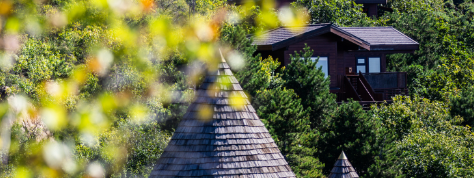 pg电子游戏试玩(中国)官方网站