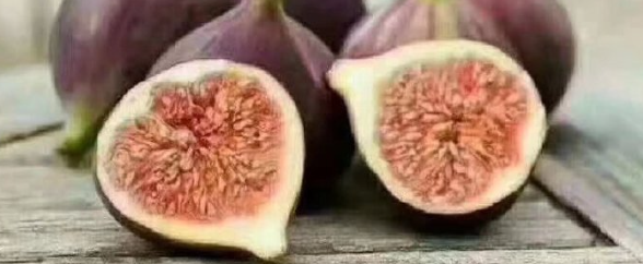 pg电子游戏试玩(中国)官方网站