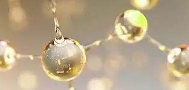 pg电子游戏试玩(中国)官方网站