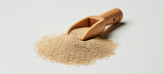 pg电子游戏试玩(中国)官方网站