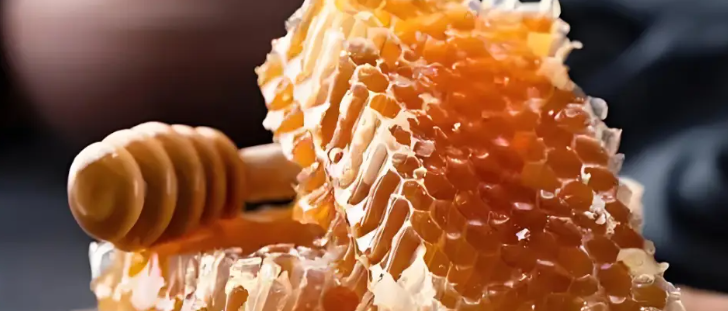 pg电子游戏试玩(中国)官方网站