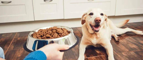 pg电子游戏试玩(中国)官方网站