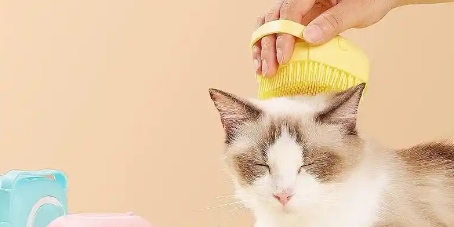 pg电子游戏试玩(中国)官方网站