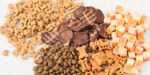 pg电子游戏试玩(中国)官方网站