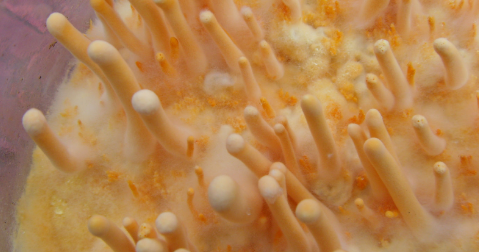 pg电子游戏试玩(中国)官方网站