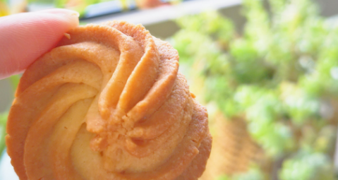 pg电子游戏试玩(中国)官方网站