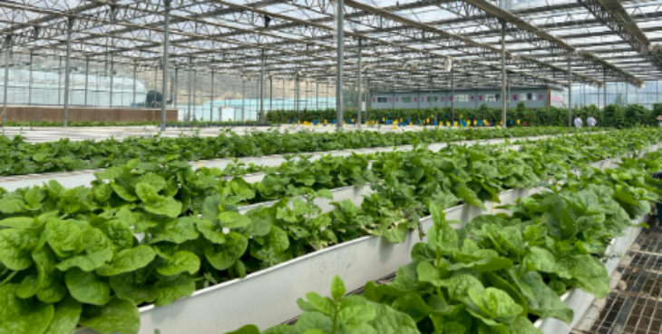 pg电子游戏试玩(中国)官方网站