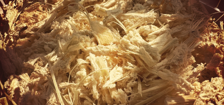 pg电子游戏试玩(中国)官方网站