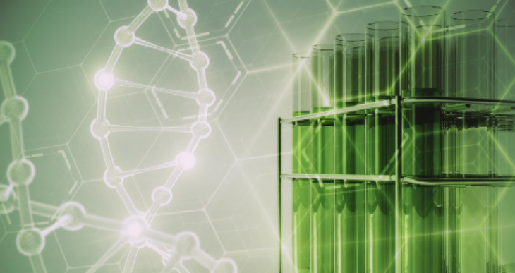 pg电子游戏试玩(中国)官方网站