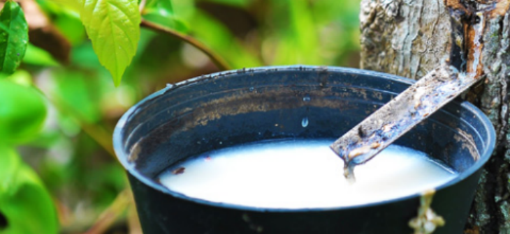 pg电子游戏试玩(中国)官方网站