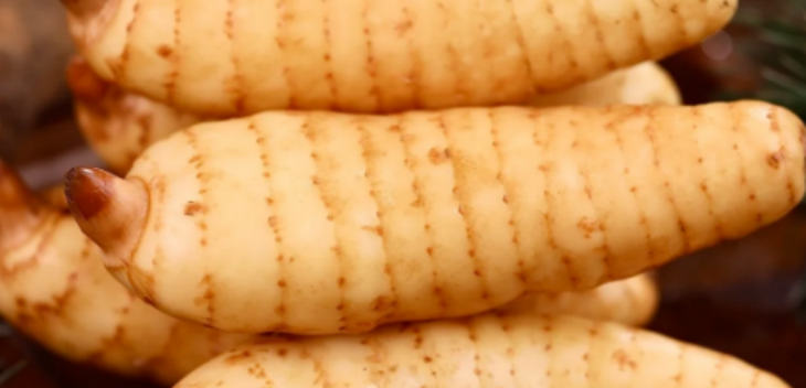 pg电子游戏试玩(中国)官方网站