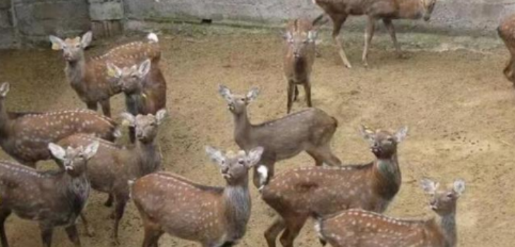 pg电子游戏试玩(中国)官方网站