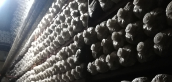 pg电子游戏试玩(中国)官方网站