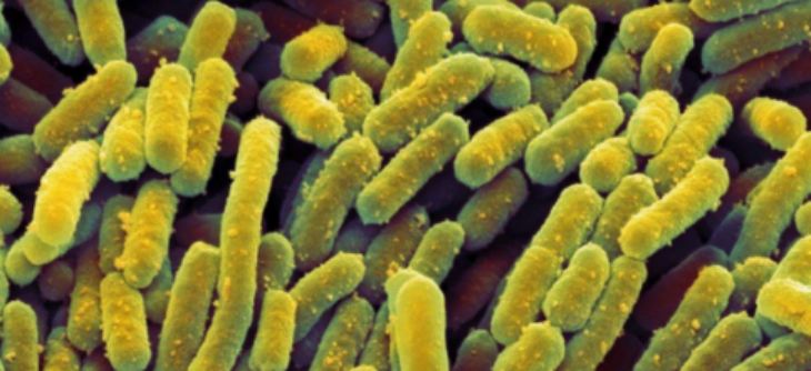 pg电子游戏试玩(中国)官方网站