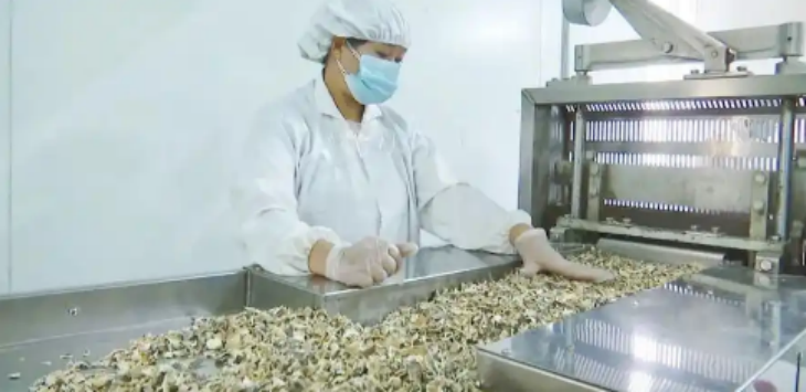 pg电子游戏试玩(中国)官方网站