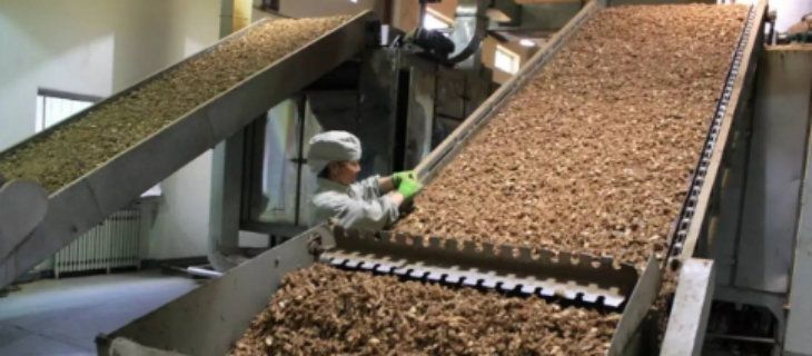 pg电子游戏试玩(中国)官方网站