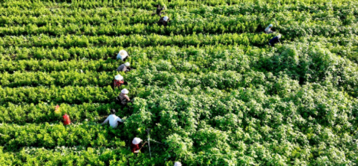 pg电子游戏试玩(中国)官方网站