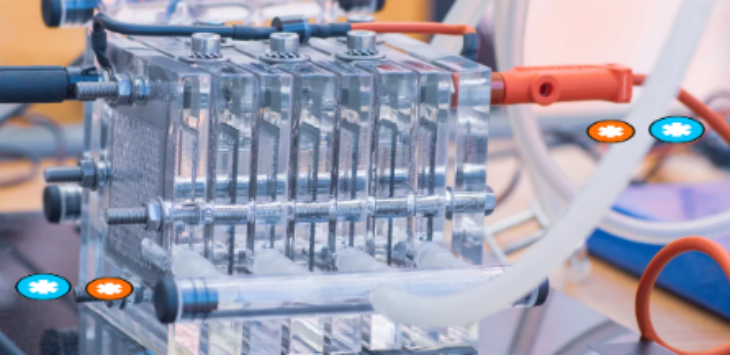 pg电子游戏试玩(中国)官方网站