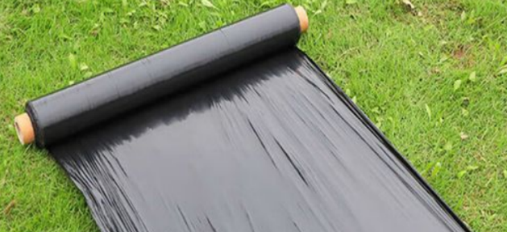 pg电子游戏试玩(中国)官方网站