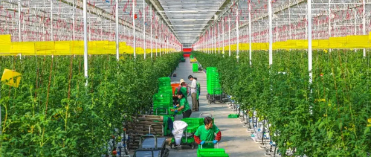 pg电子游戏试玩(中国)官方网站