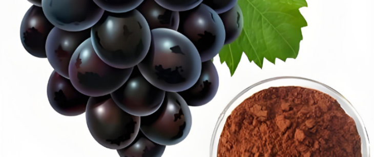 pg电子游戏试玩(中国)官方网站