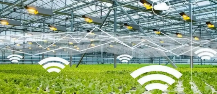 pg电子游戏试玩(中国)官方网站