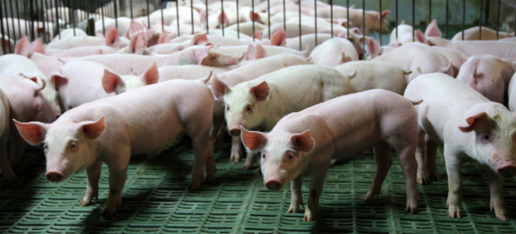 pg电子游戏试玩(中国)官方网站