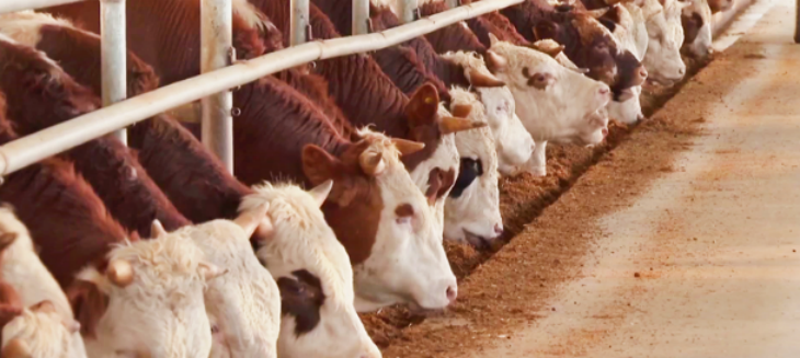 pg电子游戏试玩(中国)官方网站