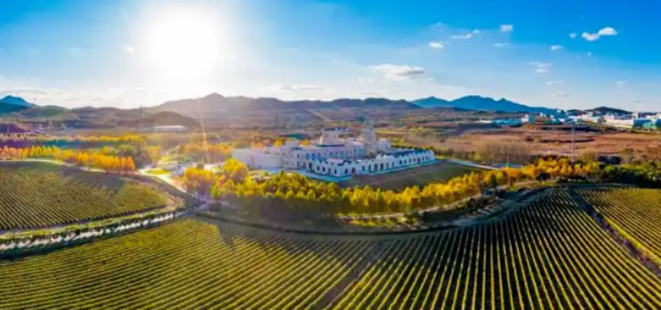 pg电子游戏试玩(中国)官方网站