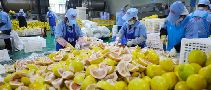 pg电子游戏试玩(中国)官方网站