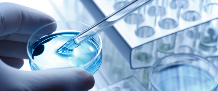 pg电子游戏试玩(中国)官方网站