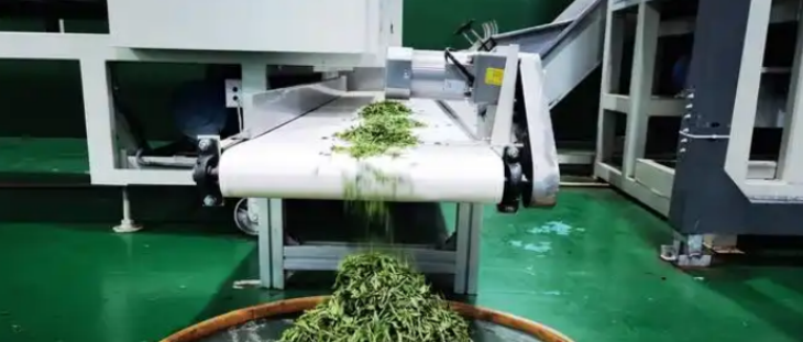 pg电子游戏试玩(中国)官方网站