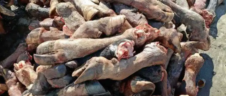 pg电子游戏试玩(中国)官方网站