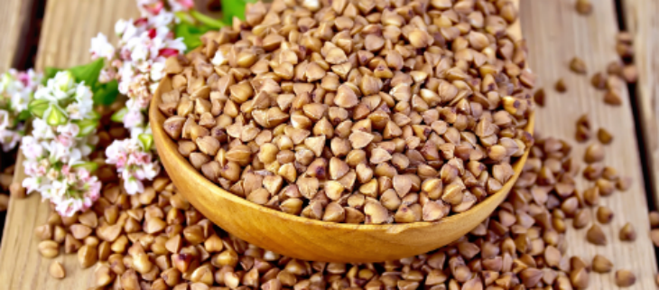 pg电子游戏试玩(中国)官方网站