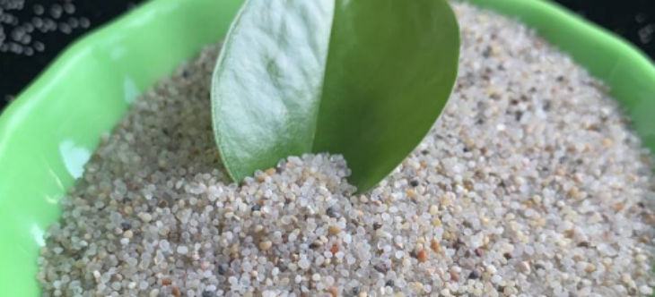 pg电子游戏试玩(中国)官方网站