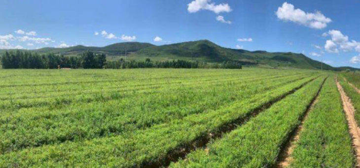 pg电子游戏试玩(中国)官方网站