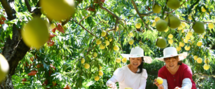 pg电子游戏试玩(中国)官方网站