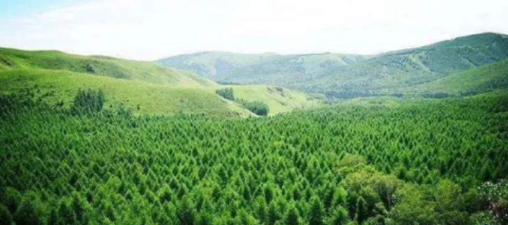 pg电子游戏试玩(中国)官方网站